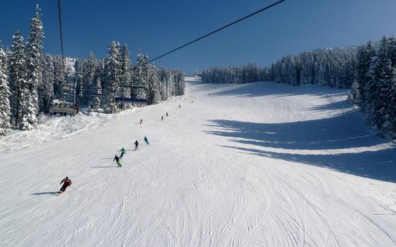 Diversité des pistes Bodensee-Vorarlberg – Diversité des pistes Laterns – Gapfohl