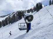 Enneigement à Solitude