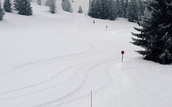 Ski nordique Préalpes de Savoie – Ski nordique Les Houches/Saint-Gervais – Prarion/Bellevue (Chamonix)