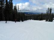 Piste facile Hummingbird au Plaza Chair