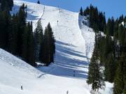 Piste difficile n° 38 Diretissima (Schlagl)