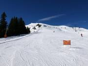 Pente d'entraînement au téléski Sücka