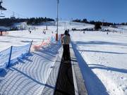 Le tapis roulant Bartuś est idéal pour les débutants.