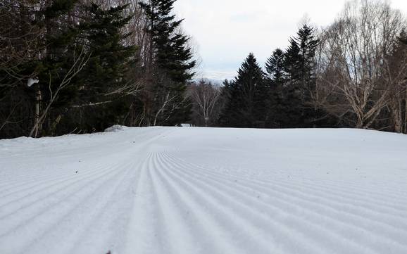 Préparation des pistes Prince Snow Resorts – Préparation des pistes Furano