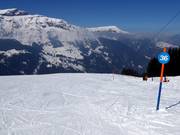 Piste facile Wengen-Wengernalp