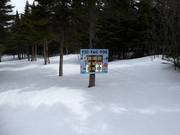 Descente en forêt amusante pour les enfants