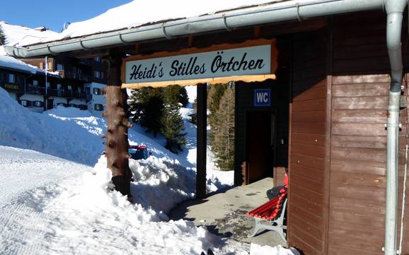 Vallée du Rhin: Propreté des domaines skiables – Propreté Pizol – Bad Ragaz/Wangs