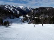 Piste n° 17 Kolašin 1600