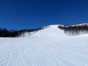 Piste difficile Ølkorken n° 11 (Gullsteinhovda)