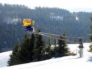 Le domaine skiable Postwiese a été l’un des premiers du Sauerland à miser sur l’enneigement intégral.