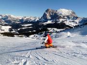 Magnifique panorama sur l'Alpe de Siusi