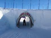 Bon plan pour les enfants : 