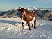 Le symbole de l'Almenwelt Lofer