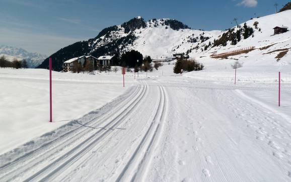 Ski nordique Alpes tessinoises – Ski nordique Aletsch Arena – Riederalp/Bettmeralp/Fiesch Eggishorn