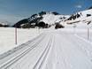 Ski nordique Alpes bernoises – Ski nordique Aletsch Arena – Riederalp/Bettmeralp/Fiesch Eggishorn