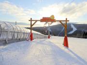 Bon plan pour les enfants : 