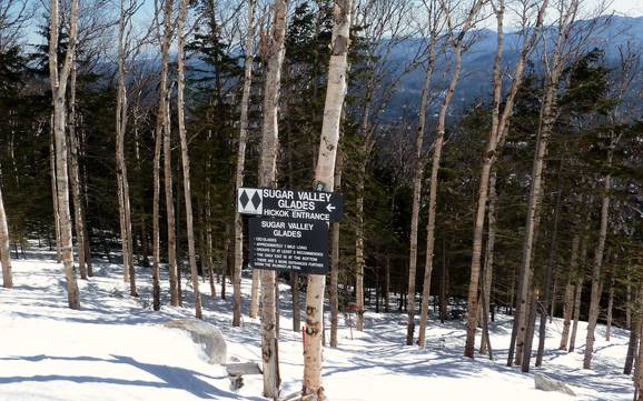 Domaines skiables pour skieurs confirmés et freeriders The Adirondacks – Skieurs confirmés, freeriders Whiteface – Lake Placid