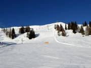 Piste noire Schneiderkogel