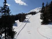 Piste Petit Vallon