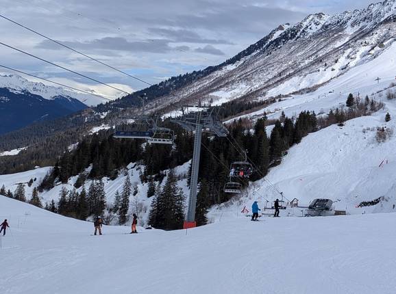 Morel - © Michael Medek - Photo : Michael Medek