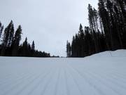 Piste très bien préparée dans le domaine skiable de Lake Louise