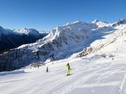 Descente Dias Alblitt