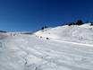 Domaines skiables pour les débutants dans les Alpes Aurine (Zillertaler Alpen) – Débutants Zillertal Arena – Zell am Ziller/Gerlos/Königsleiten/Hochkrimml