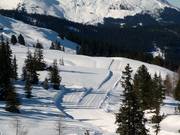 Piste de ski de fond en altitude, Hochzillertal