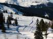 Ski nordique Alpes de Tux – Ski nordique Kaltenbach – Hochzillertal/Hochfügen (SKi-optimal)