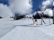 Mitchell T-Bar - Téléski à pioches