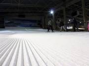 Zone débutant fraîchement préparée