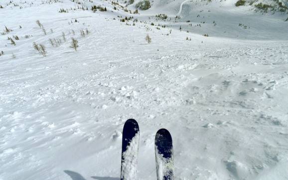 Domaines skiables pour skieurs confirmés et freeriders Chaînon Clark – Skieurs confirmés, freeriders Castle Mountain