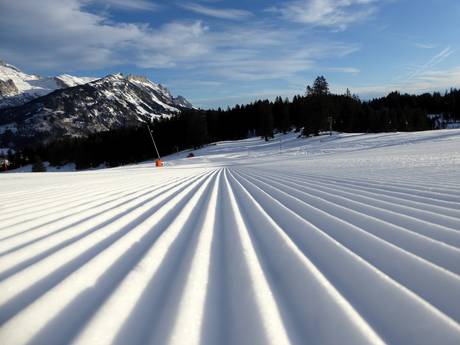 Préparation des pistes Saint-Gall – Préparation des pistes Wildhaus – Gamserrugg (Toggenburg)