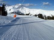 Piste fraîchement préparée