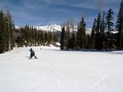 Piste facile Bridges