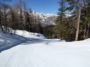 Piste facile Brunarica-Zadnji Vogel n° 12