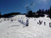 Piste facile Silverthorne