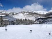 Piste facile au télésiège Moonbeam Express