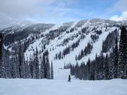 Vue sur les pistes Silver King