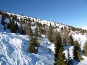 Zones de freeride/hors-piste au Monte Agaro