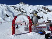 Bon plan pour les enfants : 