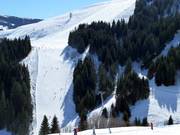 Vue sur la piste n° 62 Bärenbadkogel 1
