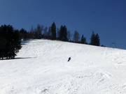 Piste Franzosenbergabfahrt