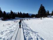 Piste d'entraînement Arnouva avec tapis roulant