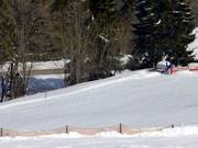 Kinderlift Haldenköpfle - Télécorde/remonte-pente à câbles bas
