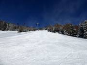 Piste Wastl Huber (Gitschberg)