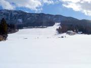 Vue sur les pistes à Thiersee-Mitterland