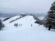 Vue depuis Sunnyside vers le Panorama House