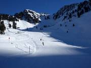 Piste facile au télésiège Balbach