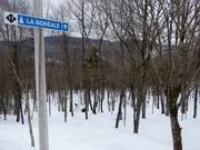 Piste forestière défrichée La Boréale